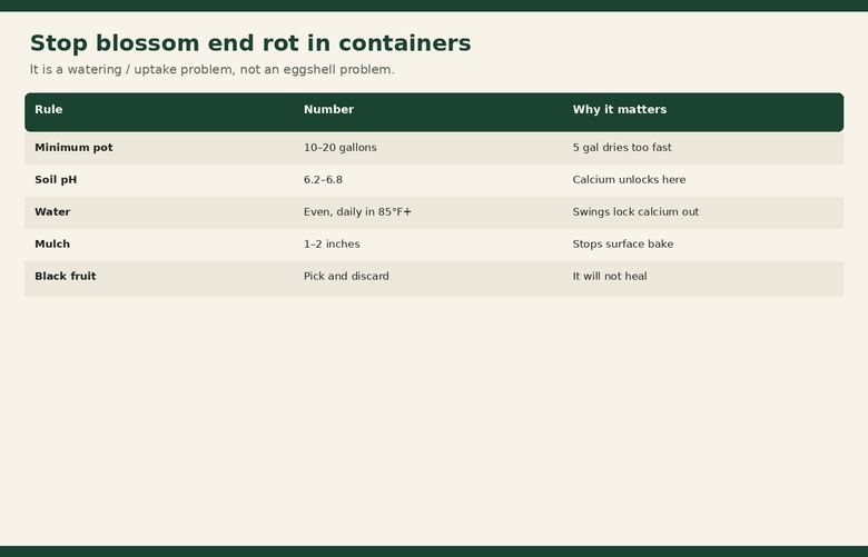 Tomato Blossom End Rot in Containers: How to Stop It Fast