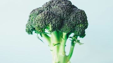 Cabbage Worms on Broccoli: Organic Control That Works in 48 Hours