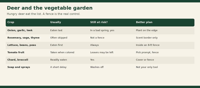 Deer Resistant Vegetable Garden: What They Still Eat (Honest List)