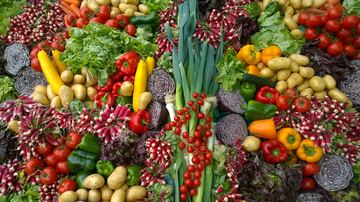 Best Vegetables to Grow in 5 Gallon Buckets
