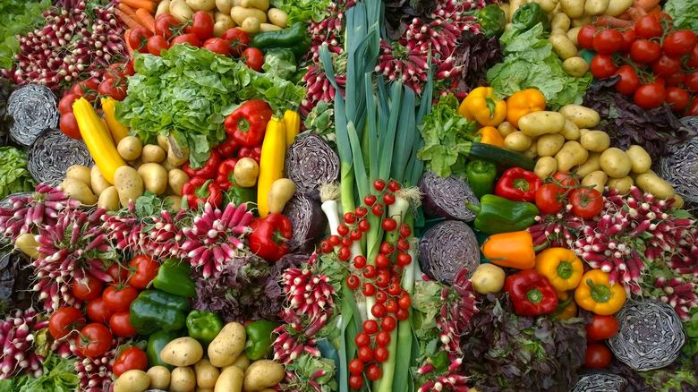 Best Vegetables to Grow in 5 Gallon Buckets