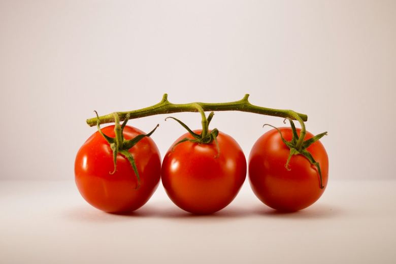 Tomato Blossom End Rot in Containers: How to Stop It Fast