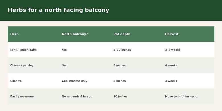 Best Herbs for a North Facing Balcony (Low Light)