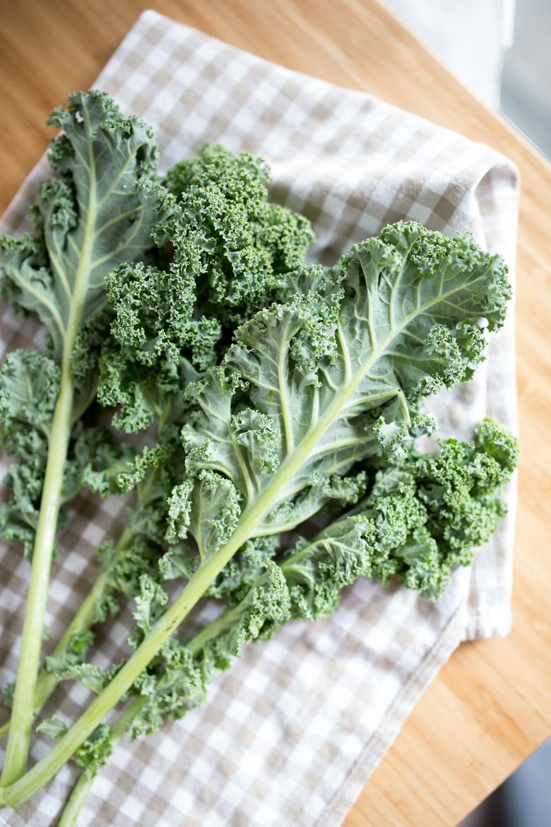 Holes in Kale Leaves: What’s Eating Them and How to Stop It
