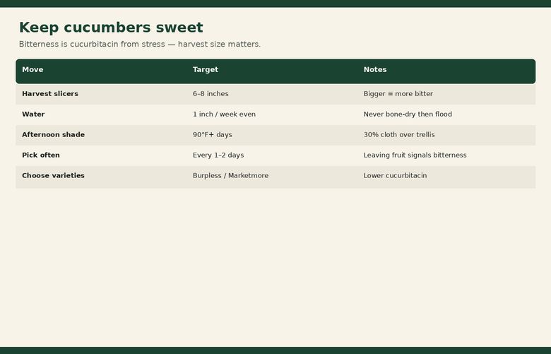 Chart of watering, shade and harvest moves that keep cucumbers sweet