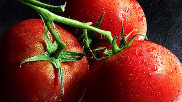 How to Grow Cherry Tomatoes on an Apartment Balcony