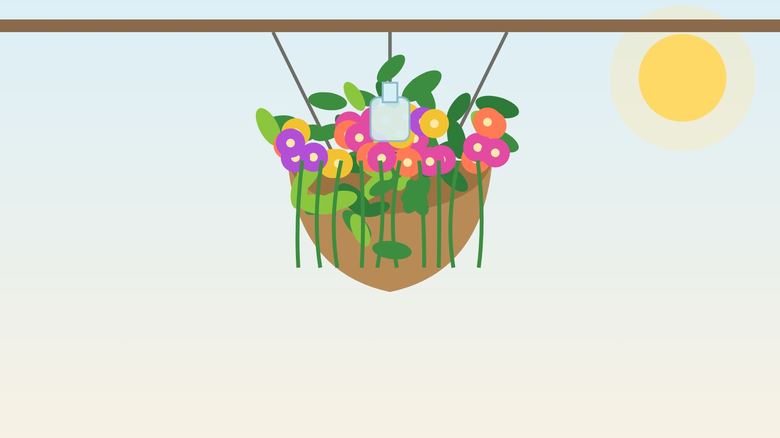 Self-Watering Hanging Baskets: DIY Build and Best Plants