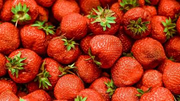 What Is Eating My Strawberries at Night? (Slugs vs Birds vs Mice)