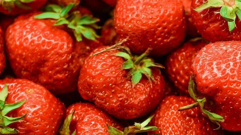 What Is Eating My Strawberries at Night? (Slugs vs Birds vs Mice)
