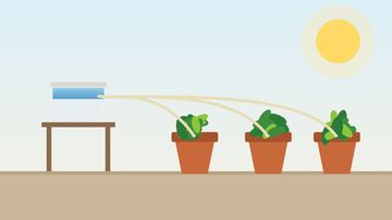Wicking Rope Method: Water Houseplants and Containers on Vacation