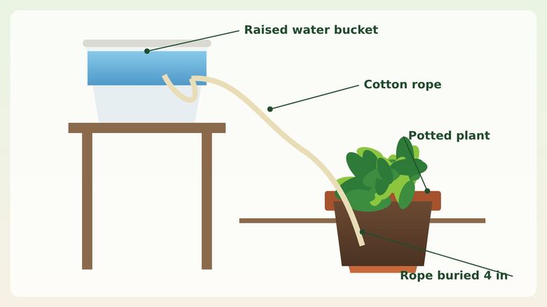 Wicking Rope Method: Water Houseplants and Containers on Vacation
